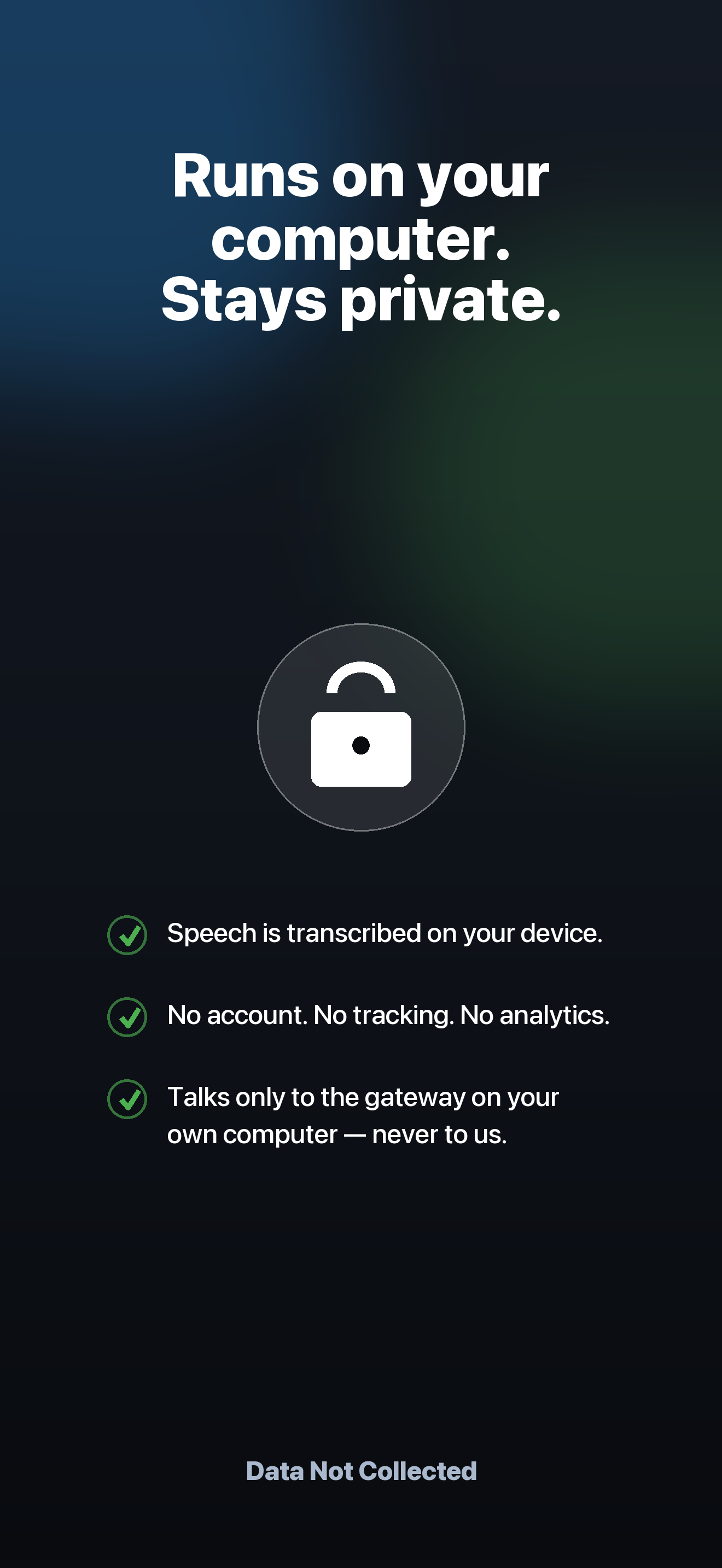 ShellSpeak screenshot: 04 privacy